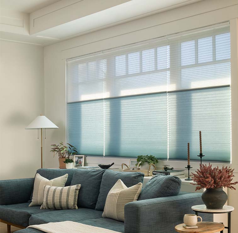 Day and Night Cellular Shades in a living room