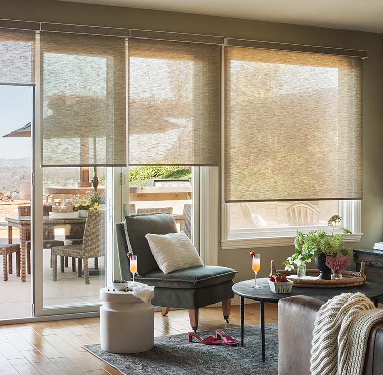 Roller Shades on Screen Doors and Picture Windows